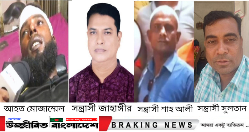 বক্তাবলীতে জাহাঙ্গীর মেম্বারের সন্ত্রাসী বাহিনীর হামলায় মোজাম্মেল আহত! থানায় অভিযোগ